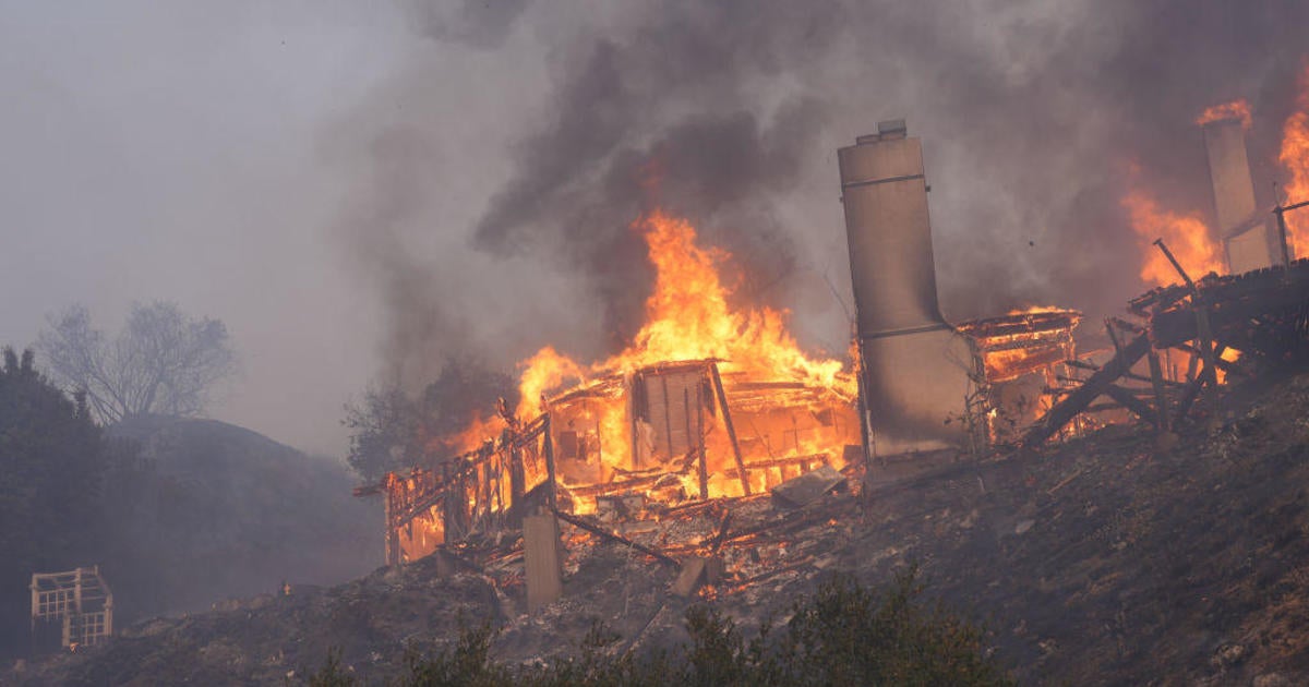 The Growing Threat of Wildfires in the United States: Are You at Risk?